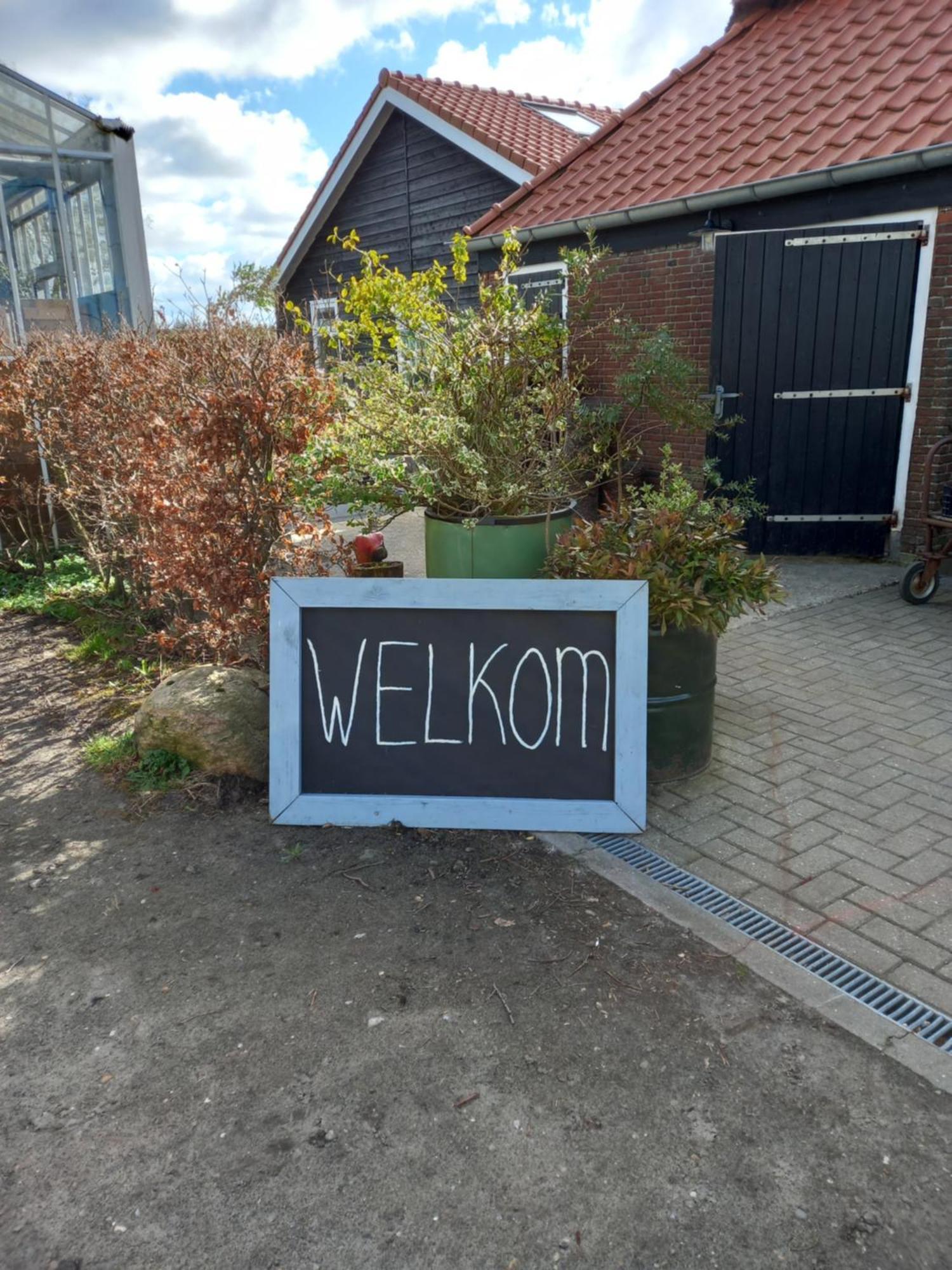 B&B Aan De Fjildwei Rinsumageest Екстериор снимка