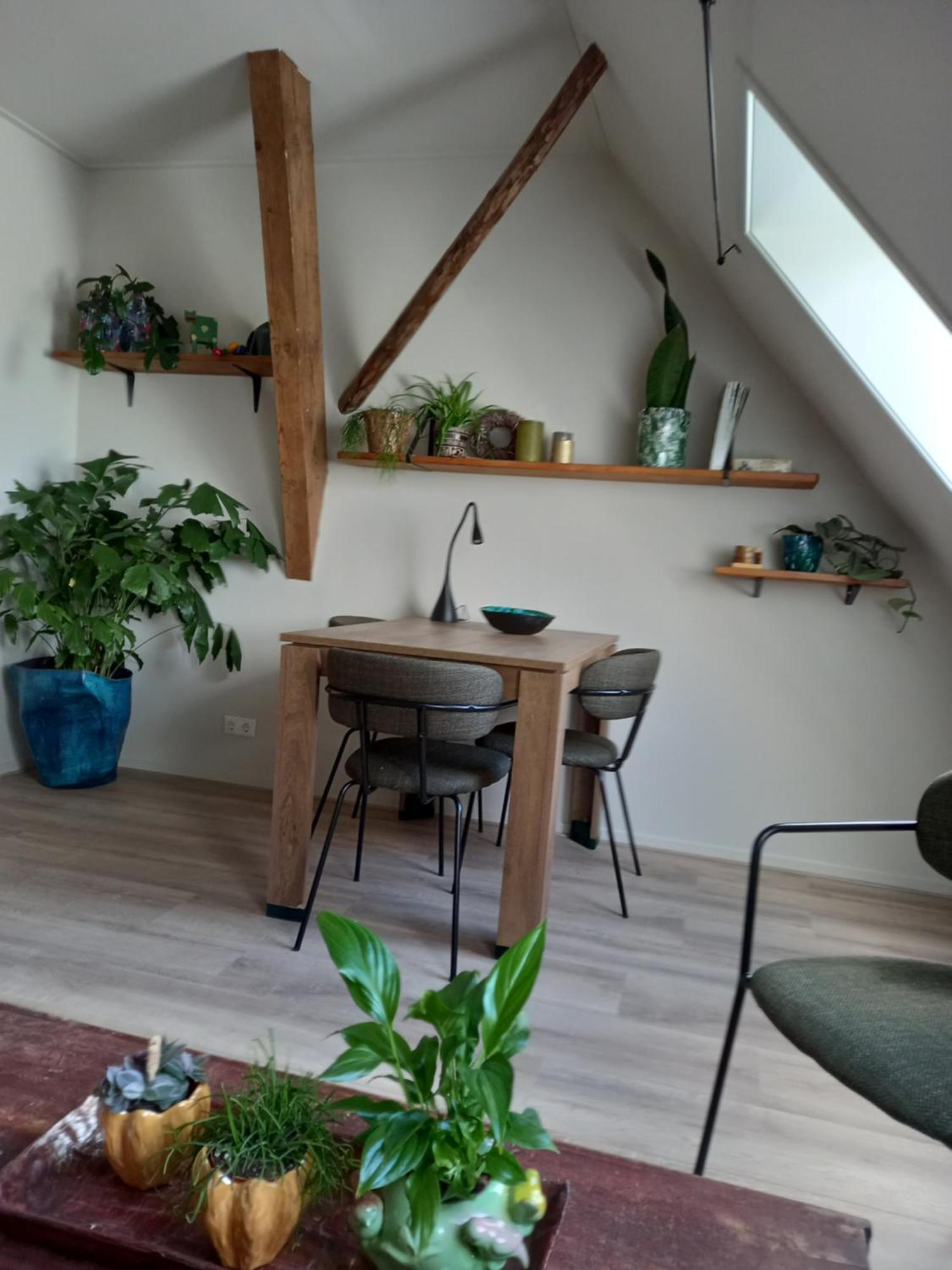 B&B Aan De Fjildwei Rinsumageest Екстериор снимка